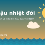 Minh họa khí hậu nhiệt đới với mặt trời và biển