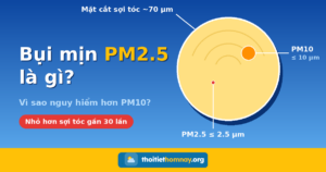 Minh họa so sánh kích thước bụi mịn PM2.5 và PM10 với sợi tóc người