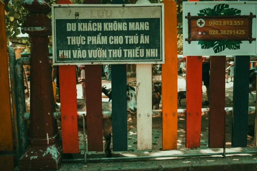 Các biện pháp phòng tránh