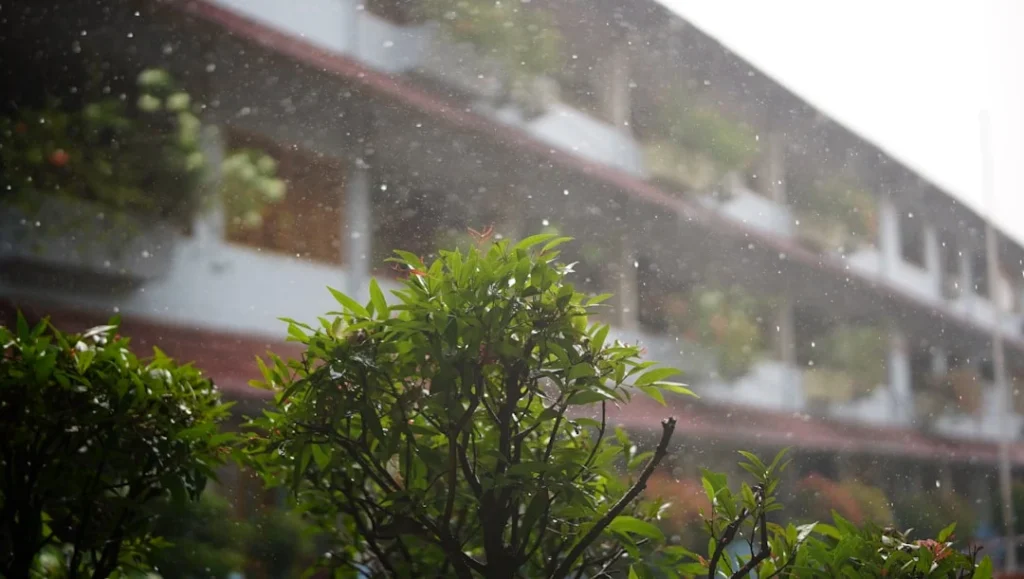 Cách tính lượng mưa trung bình hàng năm