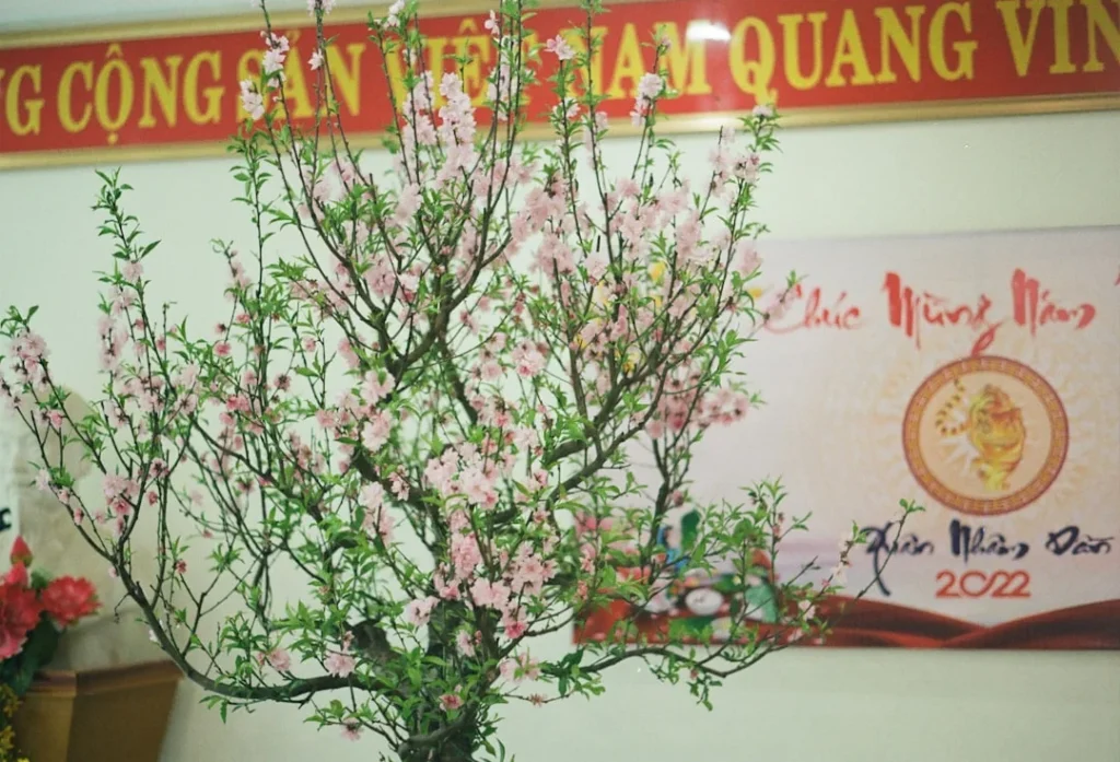 Đặc điểm của tiết Lập Xuân