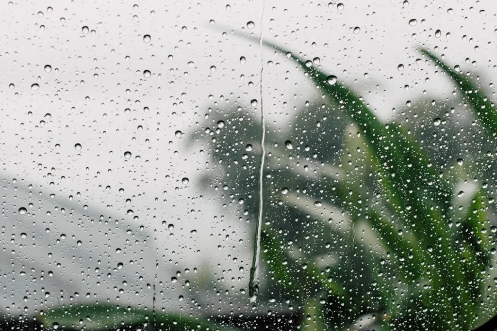 Đặc điểm nhận biết Mưa rào
