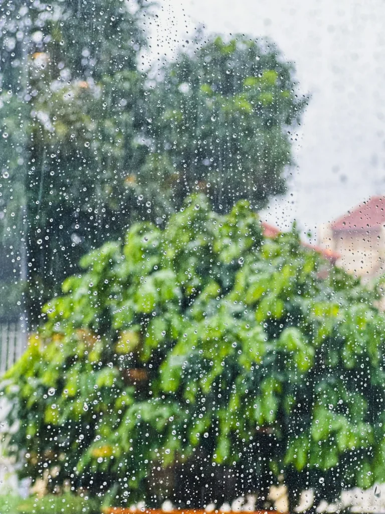 Hướng dẫn cách đo lượng mưa chính xác tại nhà