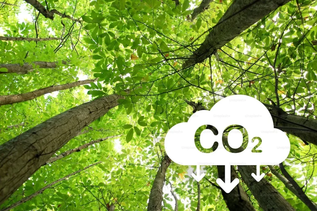 Khí CO2 là gì và những tác động của nó
