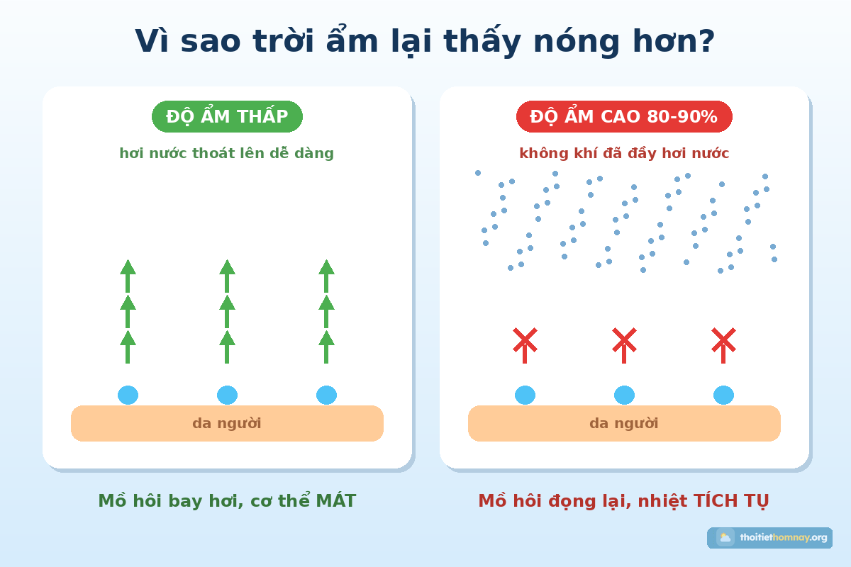 Sơ đồ so sánh mồ hôi bay hơi khi độ ẩm thấp và bị chặn khi độ ẩm cao 80-90%