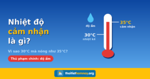 Nhiệt độ cảm nhận là gì