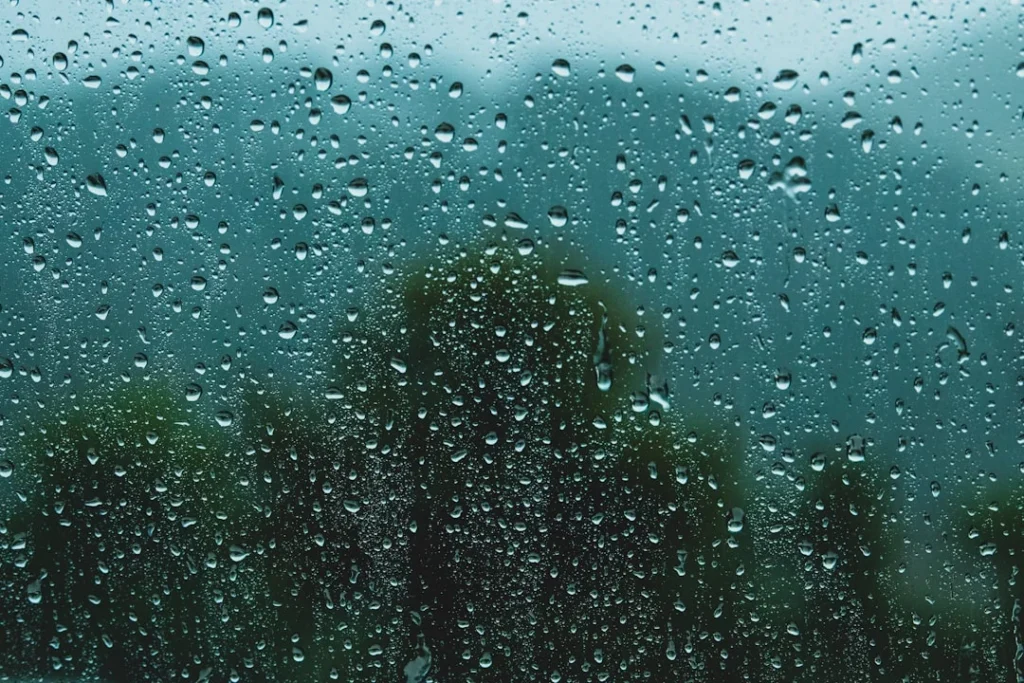 Quá trình hình thành một cơn mưa rào điển hình