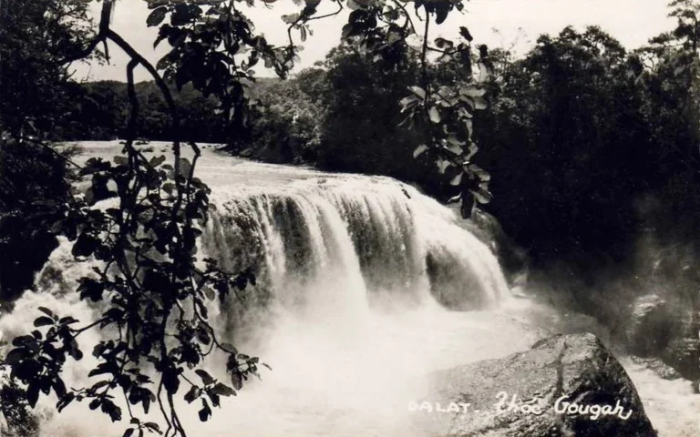 tây nguyên là gì