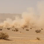 Minh họa: Bão cát haboob ở sa mạc: tác động nghiêm trọng đến sức khỏe và môi trường