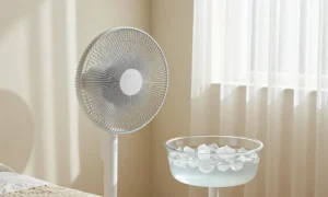 Minh họa: Cách làm mát phòng không cần điều hòa bằng cách giảm nhiệt độ nước trong bình quạt