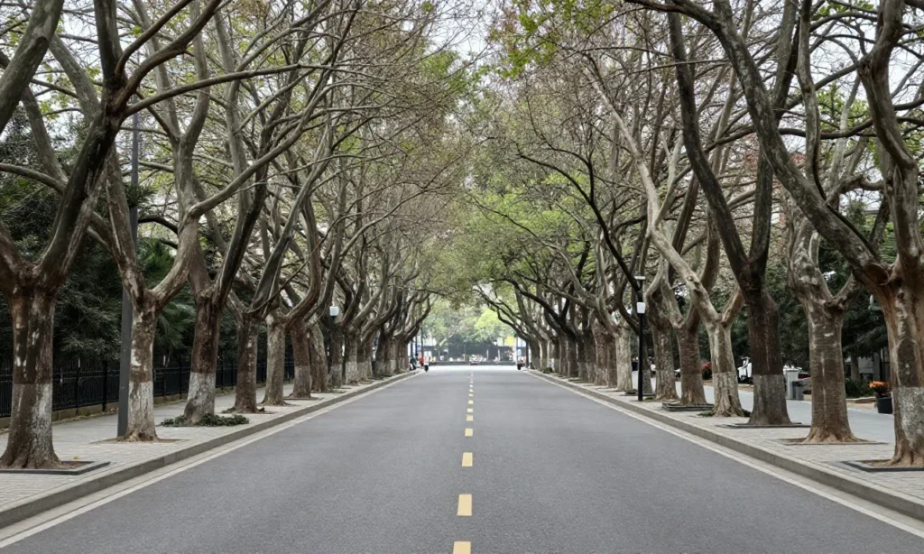 Minh họa: Cây xanh đô thị chọn loại nào chịu bão: ưu tiên cây có tán lá thưa nhẹ gió