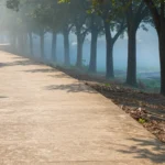 Minh họa: Chỉ số gió lạnh và chỉ số nóng khác nhau thế nào