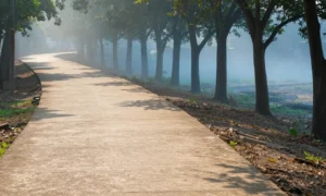 Minh họa: Chỉ số gió lạnh và chỉ số nóng khác nhau thế nào