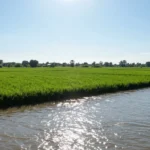 Minh họa: Chỉ số UV ở An Giang cao vào lúc nào, đỉnh điểm từ 10h đến 16h