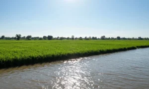 Minh họa: Chỉ số UV ở An Giang cao vào lúc nào, đỉnh điểm từ 10h đến 16h