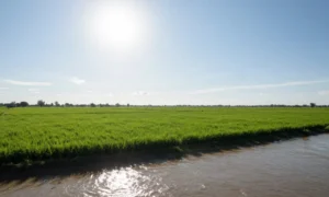 Minh họa: Chỉ số UV ở Đồng Tháp cao vào lúc nào, thường đạt đỉnh 11+ từ 11h đến 15h