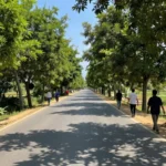Minh họa: Chỉ số UV ở Gia Lai cao vào lúc nào, cần tránh ra ngoài từ 10h đến 16h