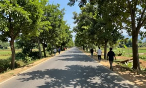 Minh họa: Chỉ số UV ở Gia Lai cao vào lúc nào, cần tránh ra ngoài từ 10h đến 16h