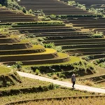 Minh họa: Chỉ số UV ở Phú Thọ cao vào lúc nào: Khung giờ nguy hiểm từ 10h đến 15h