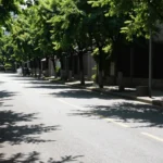Minh họa: Chỉ số UV ở Thái Nguyên cao vào lúc nào: 10h - 16h là khung giờ nguy hiểm nhất
