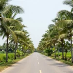 Minh họa: Đặc điểm khí hậu miền nam khác gì các vùng còn lại khi nhiệt độ luôn duy trì trên 25 độ c