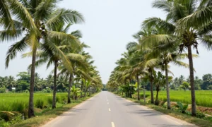 Minh họa: Đặc điểm khí hậu miền nam khác gì các vùng còn lại khi nhiệt độ luôn duy trì trên 25 độ c