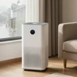 Minh họa: Độ ẩm không khí ở miền Bắc cao nhất khi nào và cách khắc phục