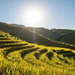 Minh họa: Độ cao mặt trời ảnh hưởng cường độ nắng như thế nào và dữ liệu thực tế tại Việt Nam