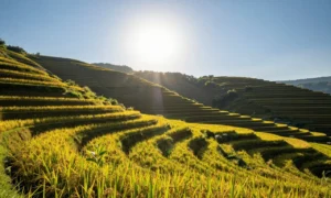 Minh họa: Độ cao mặt trời ảnh hưởng cường độ nắng như thế nào và dữ liệu thực tế tại Việt Nam