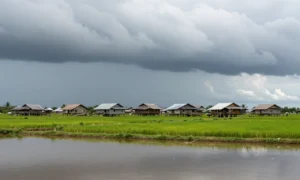 Minh họa: Đồng Tháp có hay bị bão không? Thực trạng thiên tai và dông lốc
