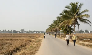 Minh họa: Đợt rét đậm rét hại ở miền Nam thường khi nào