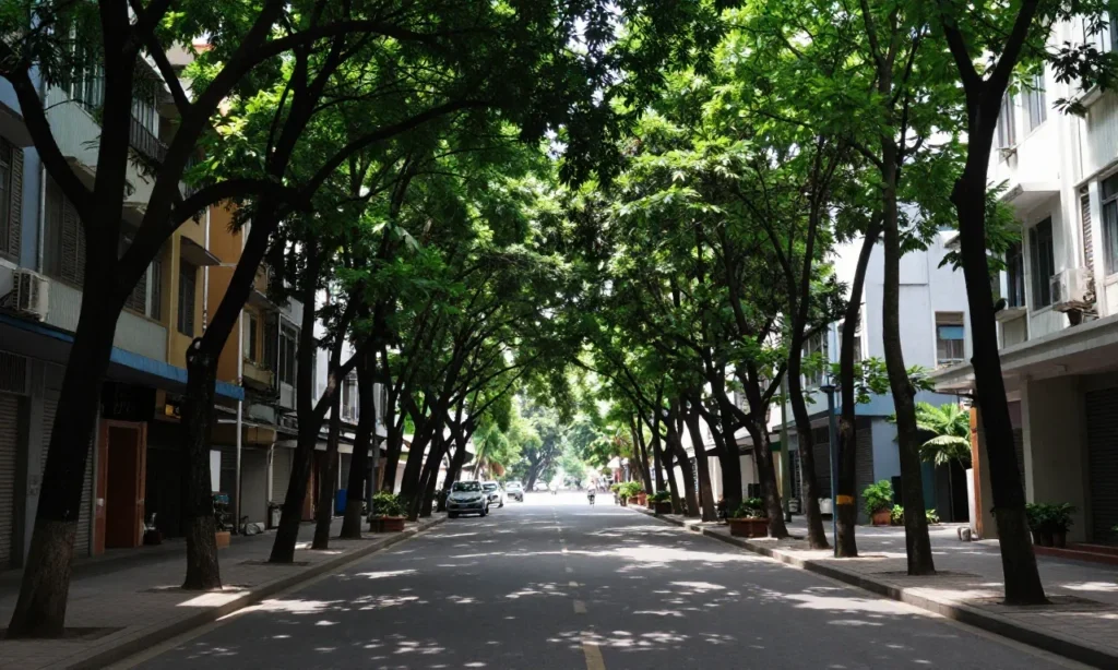 Minh họa: Giải pháp giảm nhiệt đô thị: hành lang gió trong quy hoạch đô thị giúp thông thoáng và tiết kiệm năng lượng
