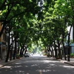 Minh họa: Giải pháp giảm nhiệt đô thị: hành lang gió trong quy hoạch đô thị giúp thông thoáng và tiết kiệm năng lượng