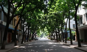 Minh họa: Giải pháp giảm nhiệt đô thị: hành lang gió trong quy hoạch đô thị giúp thông thoáng và tiết kiệm năng lượng