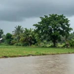Minh họa: Gió nam là gì: lý do gây mưa lớn bất thường ở việt nam