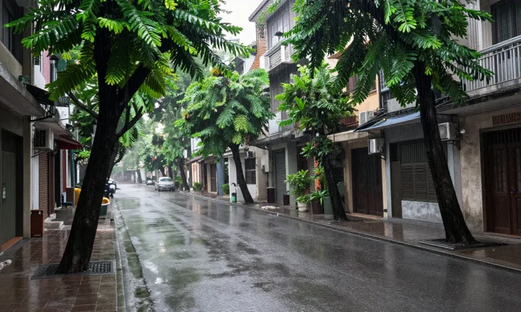 Minh họa: Hà nội có hay bị bão không? thực tế ít khi xảy ra, chủ yếu là mưa lớn