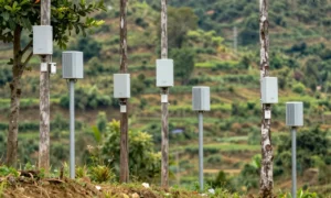 Minh họa: Hệ thống cảnh báo thiên tai quốc gia hoạt động ra sao dựa trên nền tảng IoT và WSN
