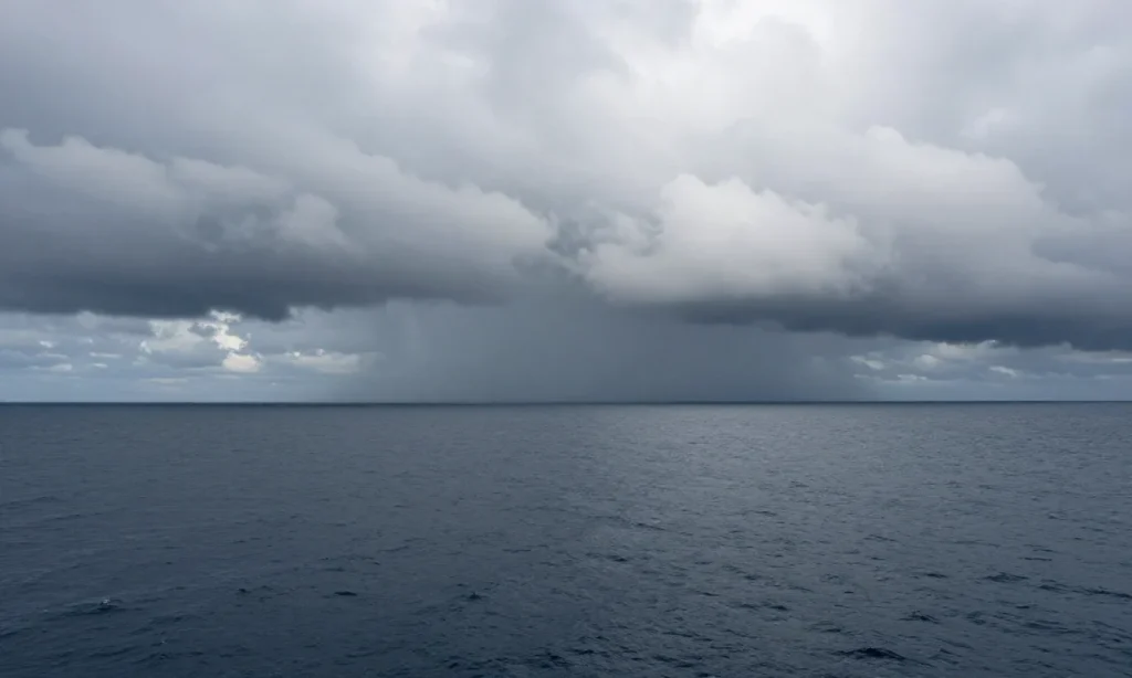 Minh họa: Hurricane typhoon cyclone khác nhau chỗ nào ở khu vực hình thành