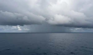 Minh họa: Hurricane typhoon cyclone khác nhau chỗ nào ở khu vực hình thành