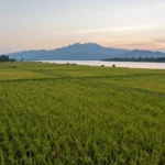 Minh họa: Khí hậu An Giang có đặc điểm gì: hai mùa mưa khô rõ rệt và mùa nước nổi độc đáo