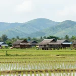 Minh họa: Khí hậu Bắc Ninh có đặc điểm gì: nhiệt đới gió mùa với bốn mùa phân hóa rõ rệt