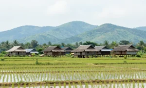 Minh họa: Khí hậu Bắc Ninh có đặc điểm gì: nhiệt đới gió mùa với bốn mùa phân hóa rõ rệt
