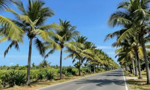 Minh họa: Khí hậu đà nẵng có đặc điểm gì: nắng nóng quanh năm, ít mưa vào mùa hè