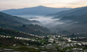 Minh họa: Khí hậu điện biên có đặc điểm gì: nhiệt độ trung bình năm thấp hơn so với đồng bằng