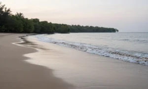 Minh họa: Khí hậu hải phòng có đặc điểm gì: nhiệt đới gió mùa ẩm, phân hóa 4 mùa rõ rệt