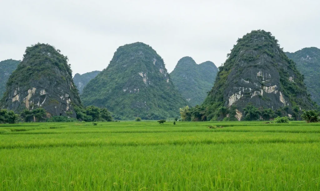 Minh họa: Khí hậu Ninh Bình có đặc điểm gì nhiệt đới ẩm gió mùa phân hóa bốn mùa