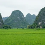 Minh họa: Khí hậu Ninh Bình có đặc điểm gì nhiệt đới ẩm gió mùa phân hóa bốn mùa