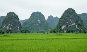 Minh họa: Khí hậu Ninh Bình có đặc điểm gì nhiệt đới ẩm gió mùa phân hóa bốn mùa
