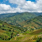 Minh họa: Khí hậu Phú Thọ có đặc điểm gì: kiểu nhiệt đới gió mùa, 4 mùa rõ rệt