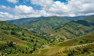 Minh họa: Khí hậu Phú Thọ có đặc điểm gì: kiểu nhiệt đới gió mùa, 4 mùa rõ rệt